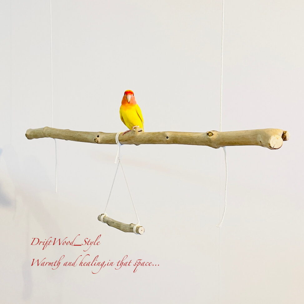 シンプルな天然流木の小鳥の止まり木 N25-26 | DriftWood_Style 流木